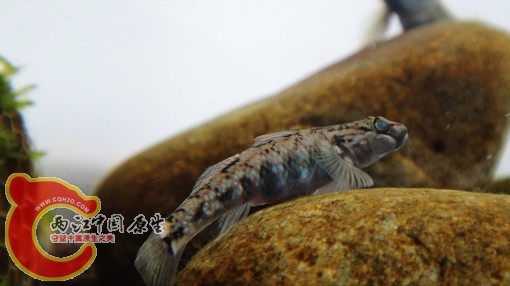nEO_IMG_DSC02607.jpg