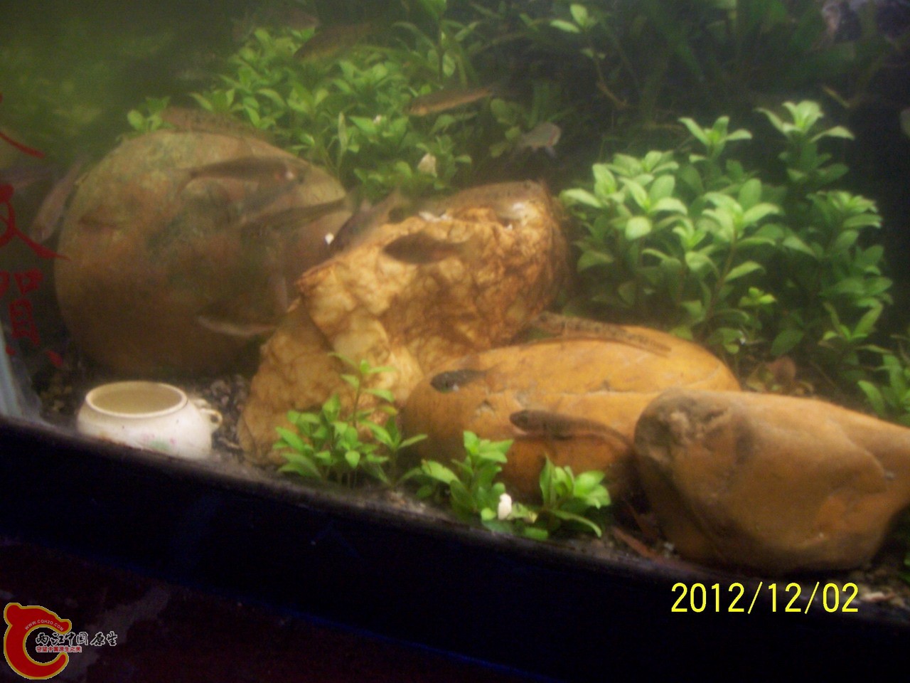 100_0301.JPG