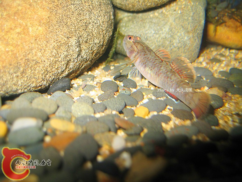 IMG_1255_副本.jpg