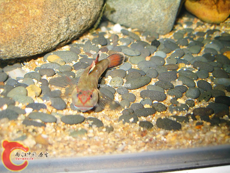 IMG_1345_副本.jpg