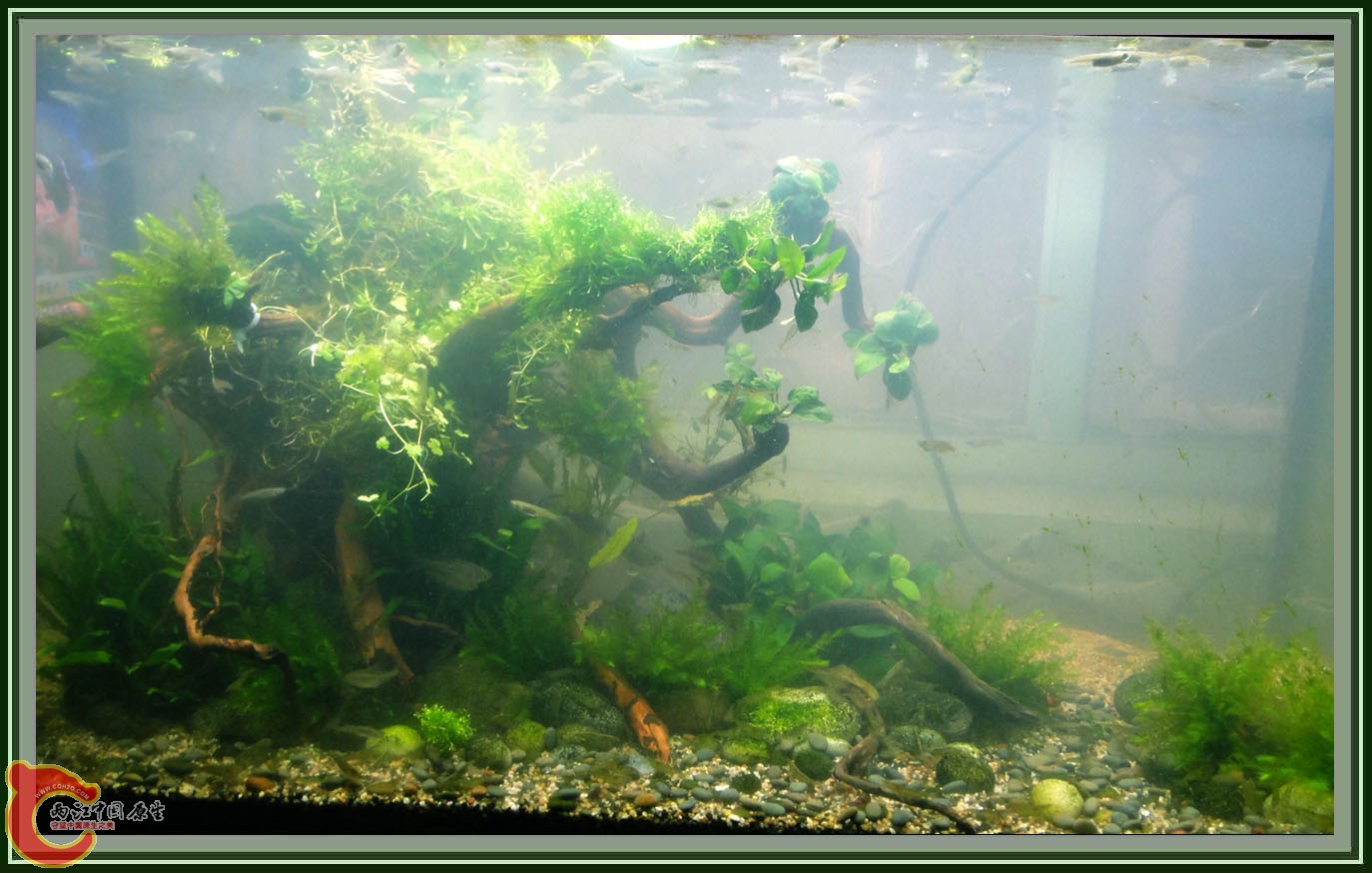 第六次DSC01615.JPG