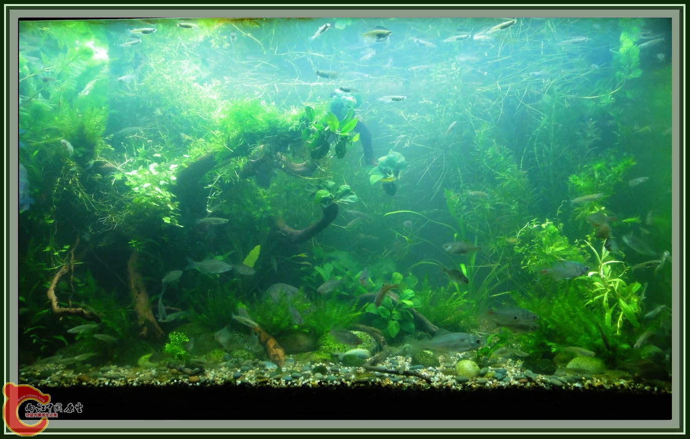 第六次DSC01617.JPG