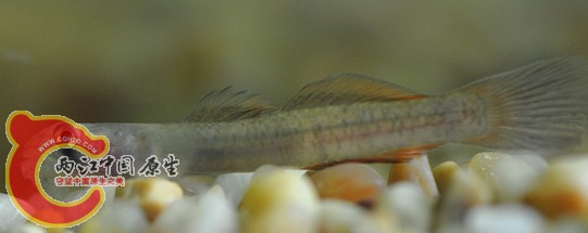 dsc_0145_副本11111111111.jpg