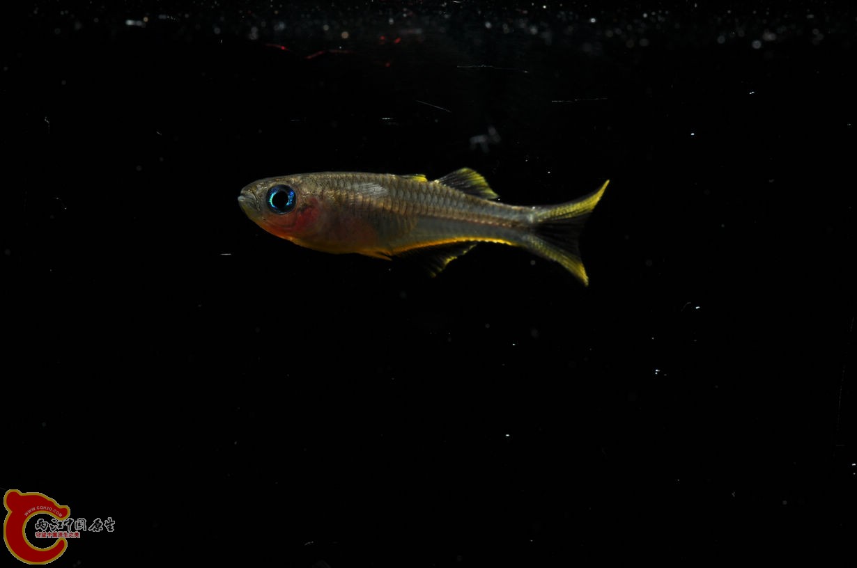 DSC_0013.jpg