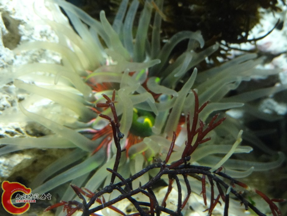 DSC07010.JPG