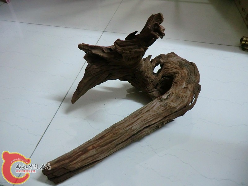 沉木9.jpg