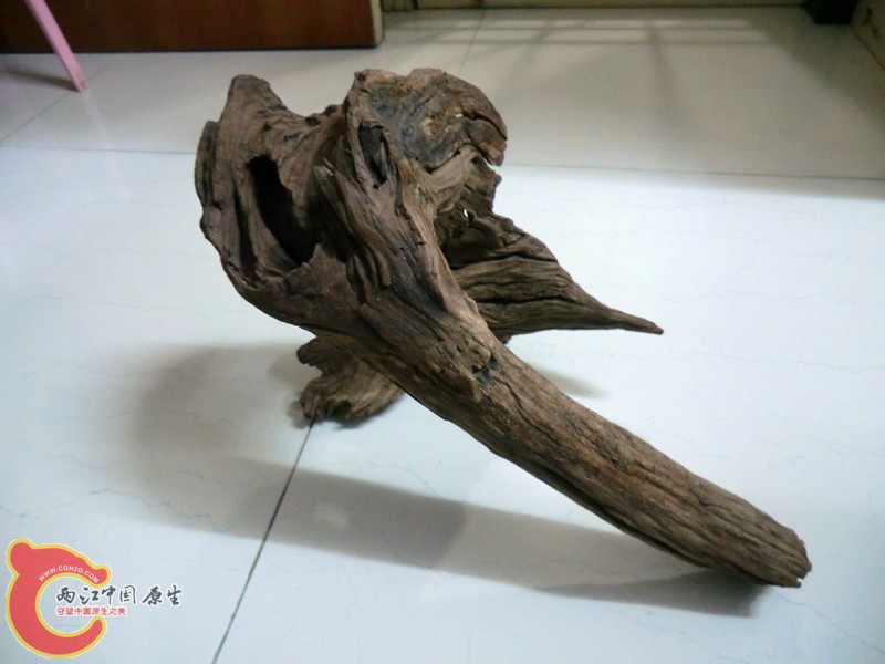 沉木1.jpg