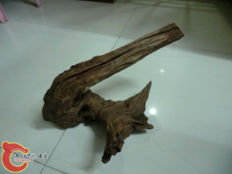 沉木3.jpg