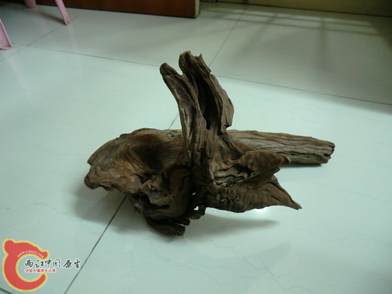 沉木4.jpg