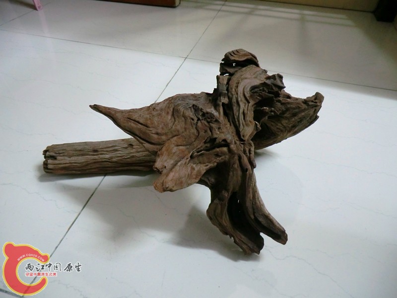 沉木6.jpg