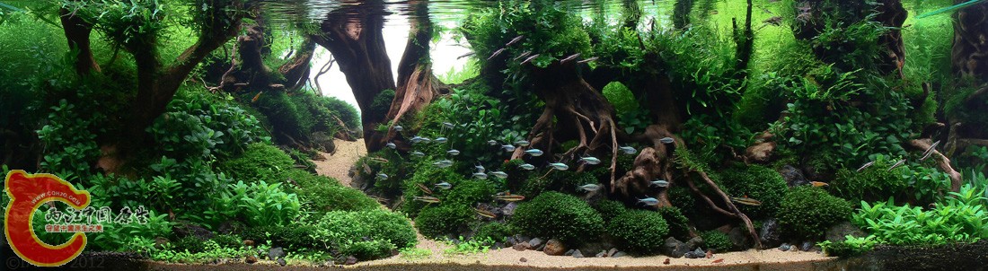 ADA2012-0002#-NO 0041.jpg