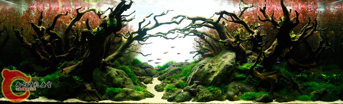 ADA2012-0010#-NO 0066.jpg