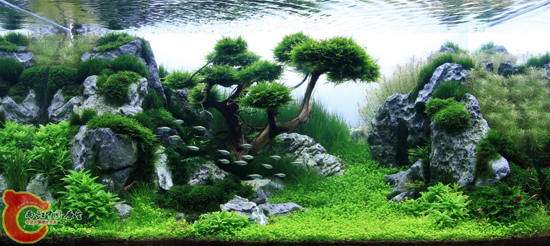 ADA2012-0014#-NO 0089.jpg