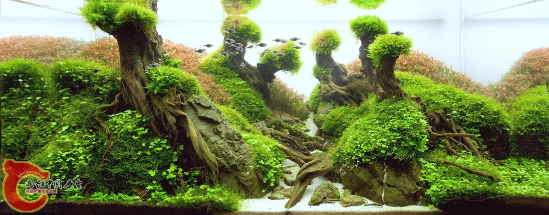 ADA2012-0020#-NO 0067.jpg