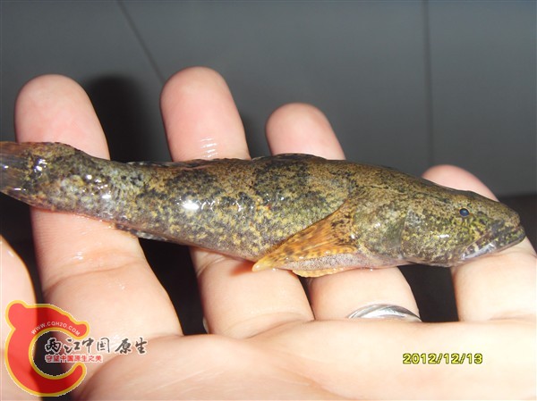 SDC10046_副本.jpg