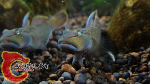 nEO_IMG_DSC02660.jpg