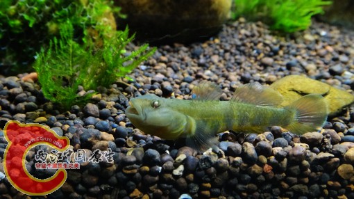 nEO_IMG_DSC02665.jpg