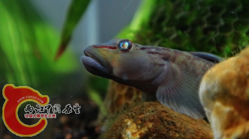 nEO_IMG_DSC02666.jpg