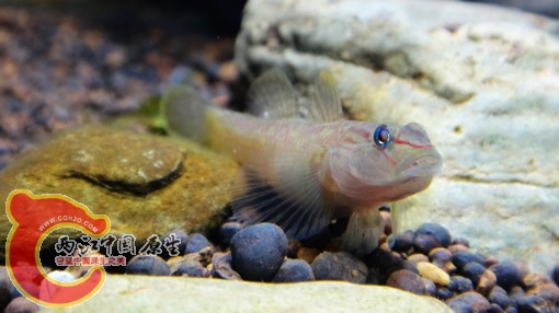 nEO_IMG_DSC02673.jpg