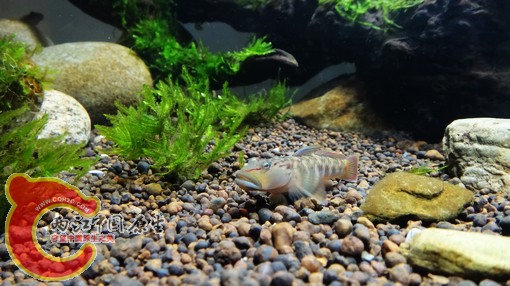 nEO_IMG_DSC02676.jpg