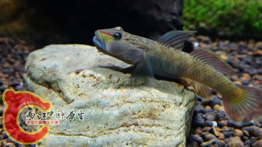 nEO_IMG_DSC02682.jpg