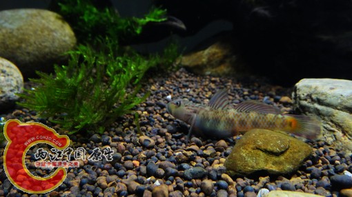 nEO_IMG_DSC02681.jpg