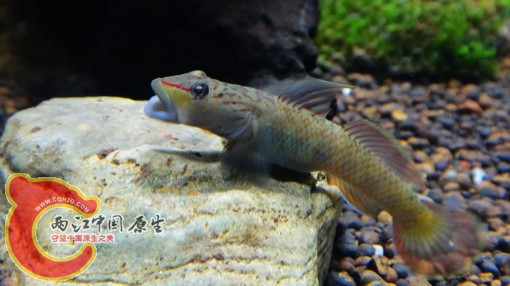 nEO_IMG_DSC02683.jpg