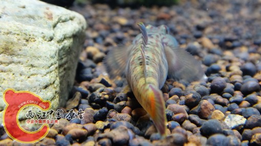 nEO_IMG_DSC02684.jpg