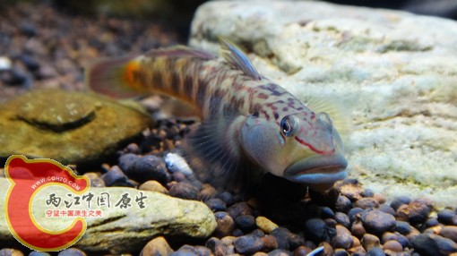nEO_IMG_DSC02688.jpg