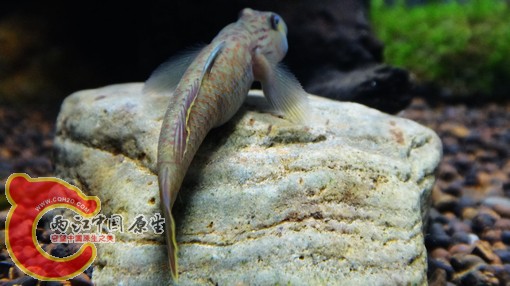 nEO_IMG_DSC02686.jpg