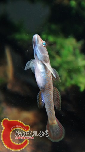 nEO_IMG_DSC02698.jpg