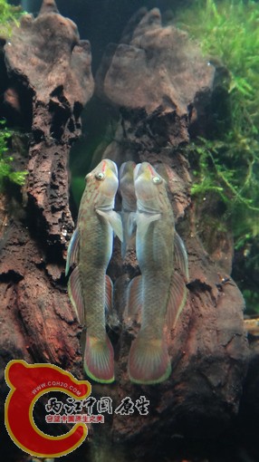 nEO_IMG_DSC02702.jpg