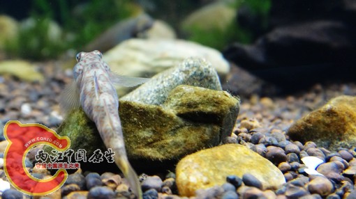 nEO_IMG_DSC02708.jpg