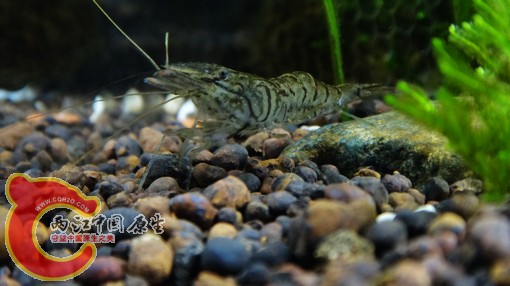 nEO_IMG_DSC02715.jpg