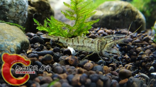 nEO_IMG_DSC02713.jpg