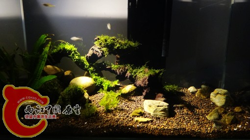 nEO_IMG_DSC02716.jpg