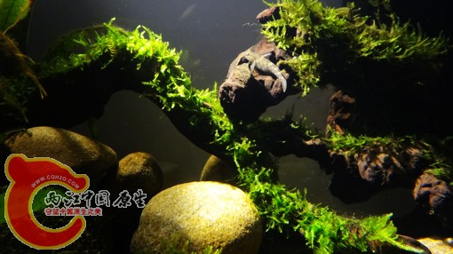 nEO_IMG_DSC02717.jpg