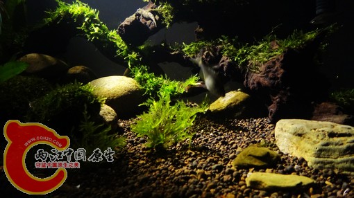 nEO_IMG_DSC02719.jpg