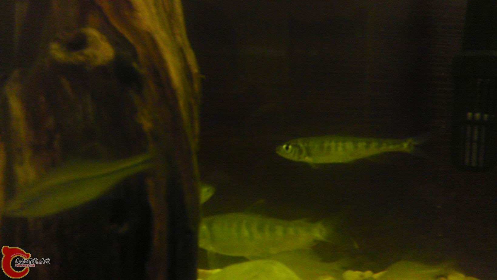 调整大小 IMAG1881.jpg