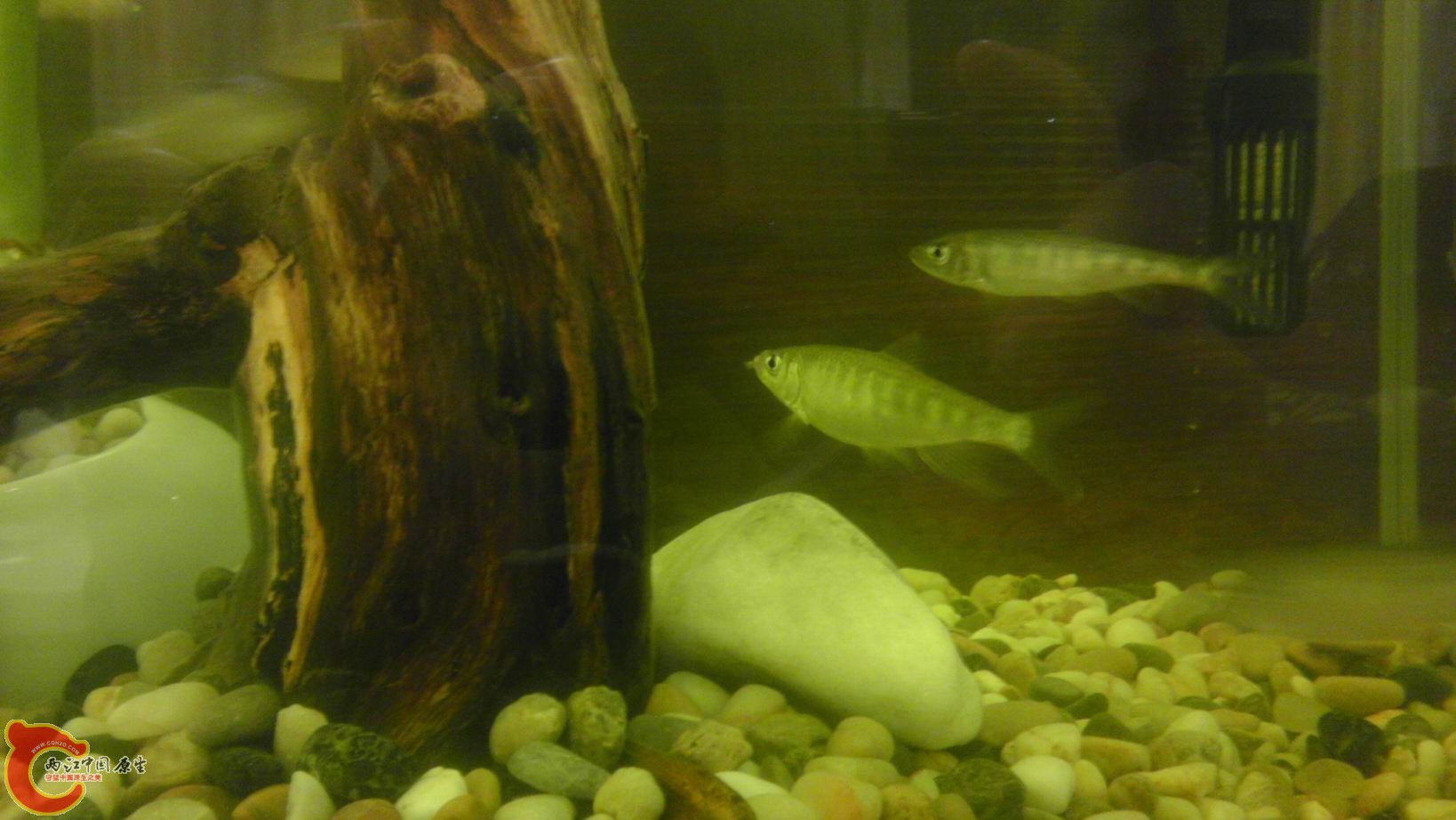 调整大小 IMAG1865.jpg