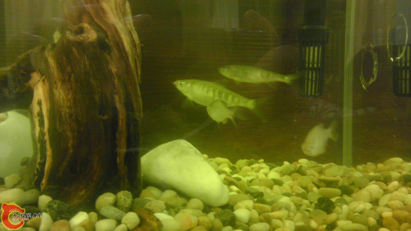 调整大小 IMAG1866.jpg