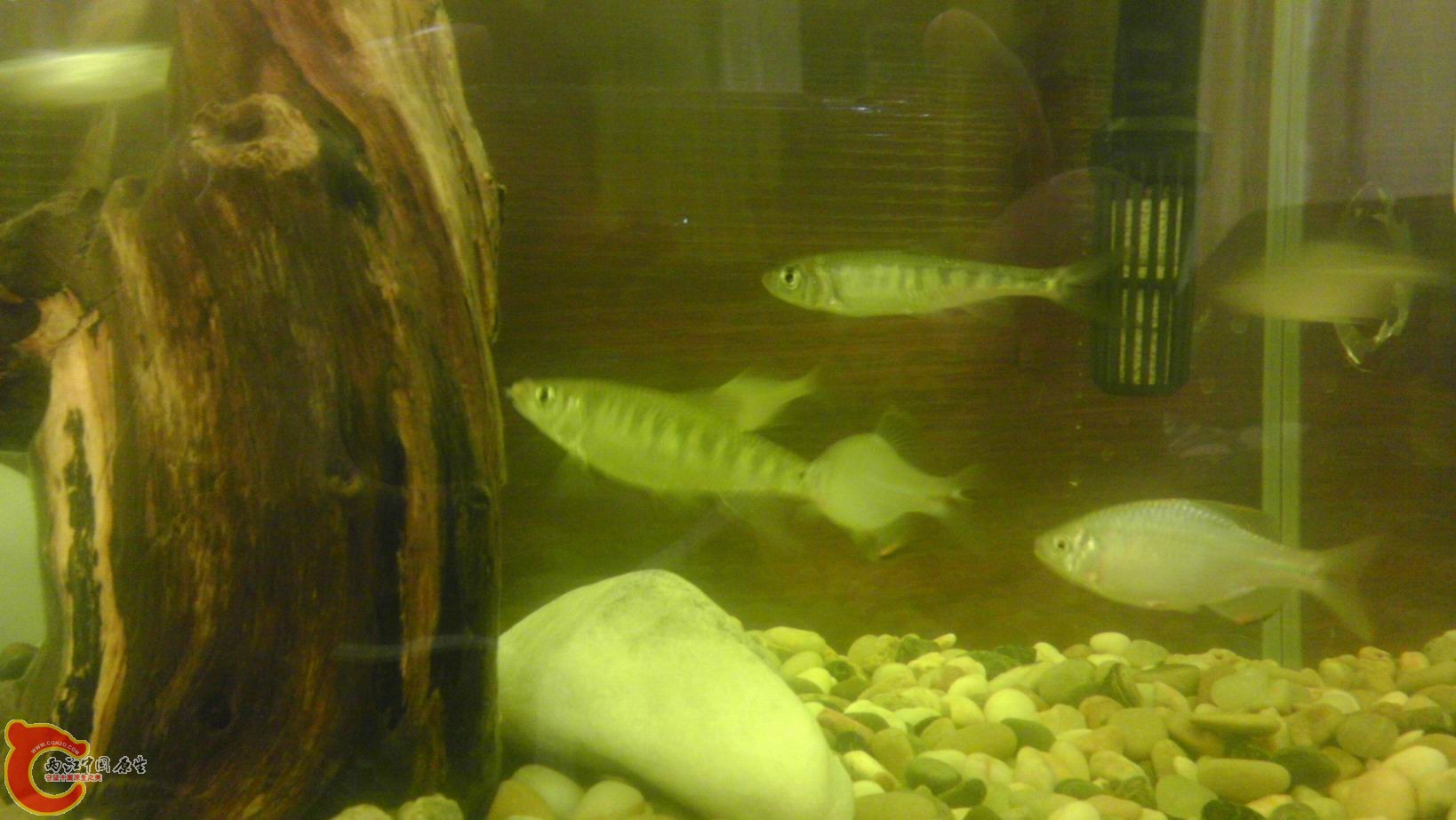 调整大小 IMAG1868.jpg