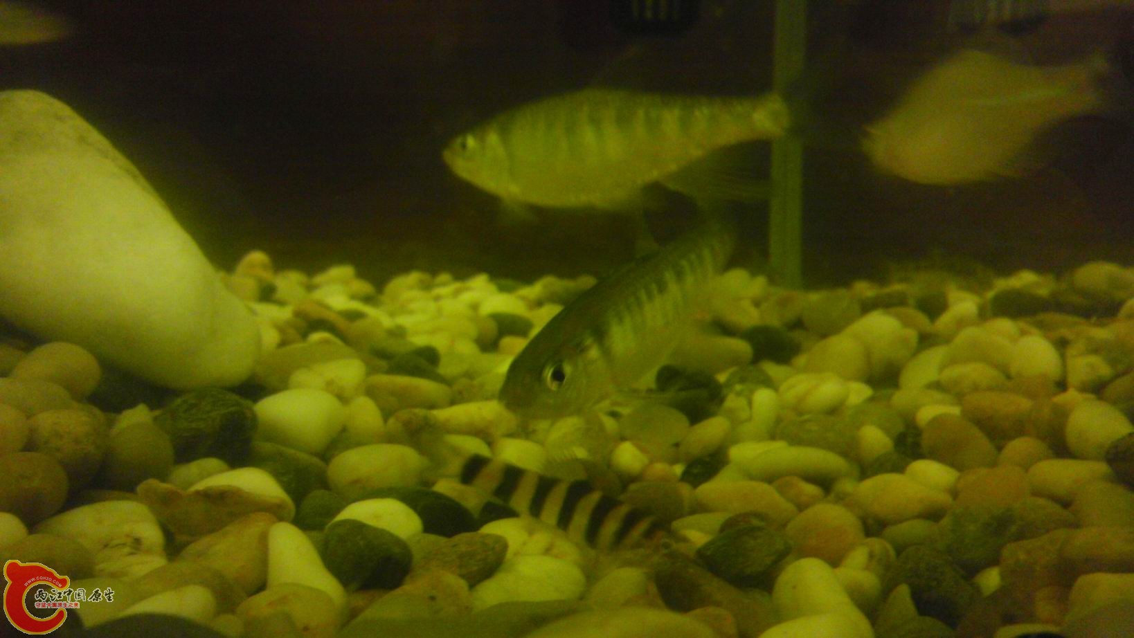 调整大小 IMAG1879.jpg