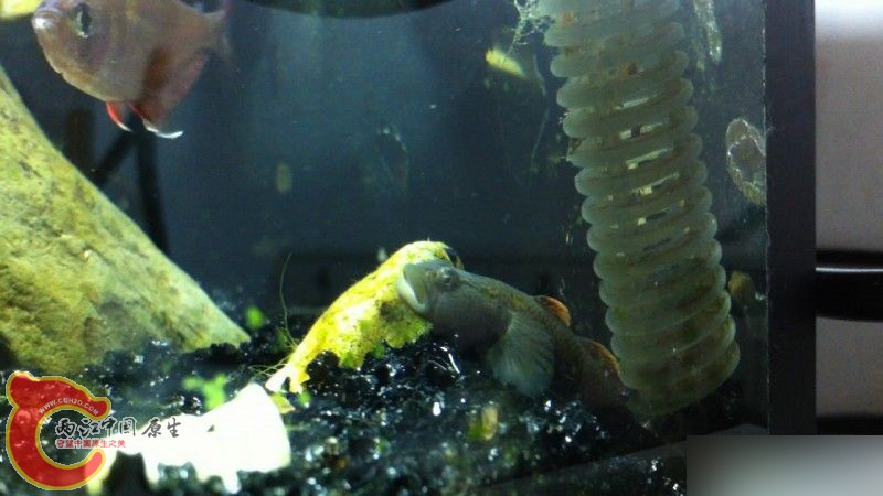 休息一下