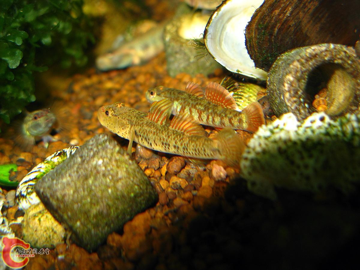 IMG_1345.jpg