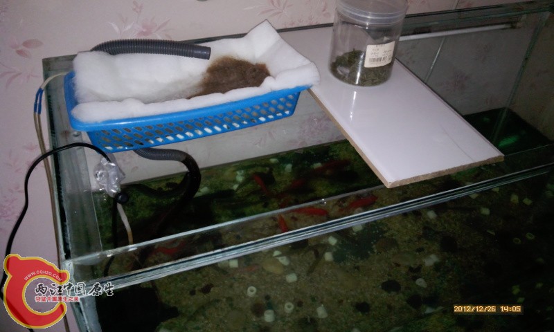 IMG_20121226_140538.jpg
