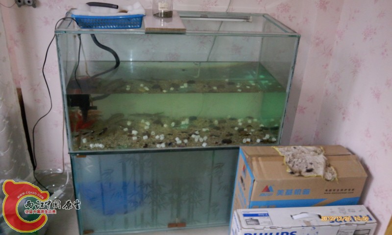 IMG_20121226_140608.jpg