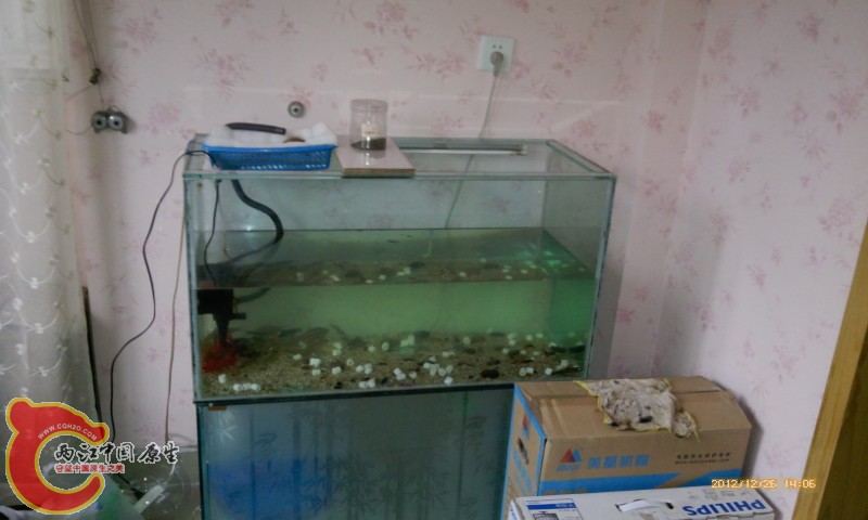 IMG_20121226_140640.jpg