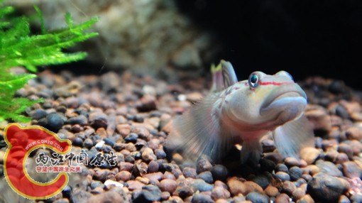 nEO_IMG_DSC02724.jpg