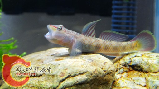 nEO_IMG_DSC02725.jpg